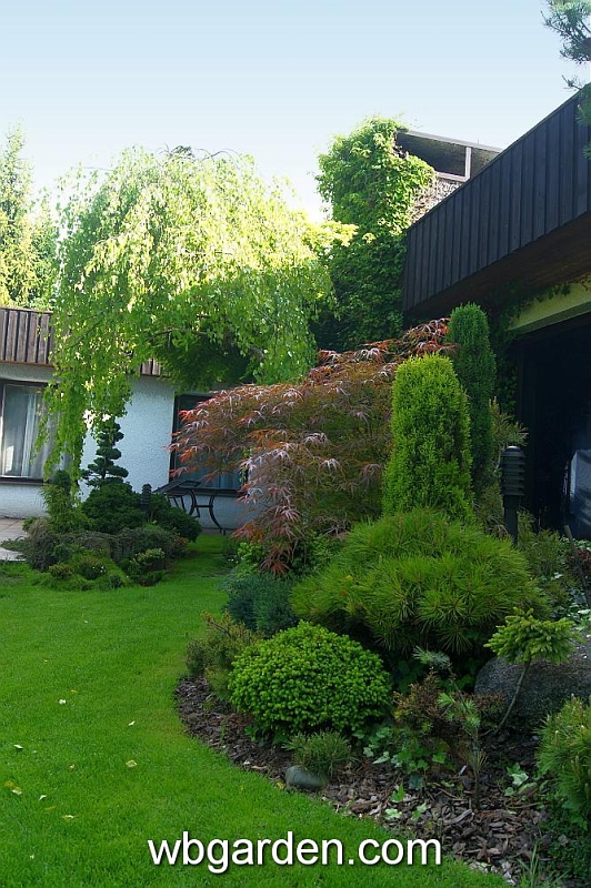 wbgarden spring 20.JPG